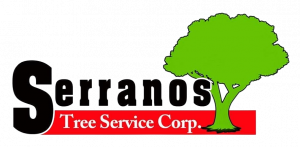 Serranos Land Clearing