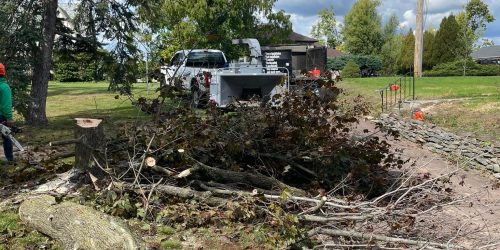 Serranos Land Clearing