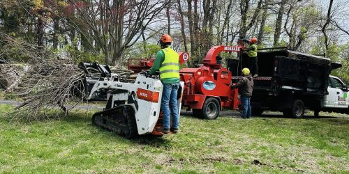 Serranos Land Clearing