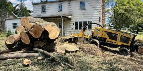 Serranos Land Clearing